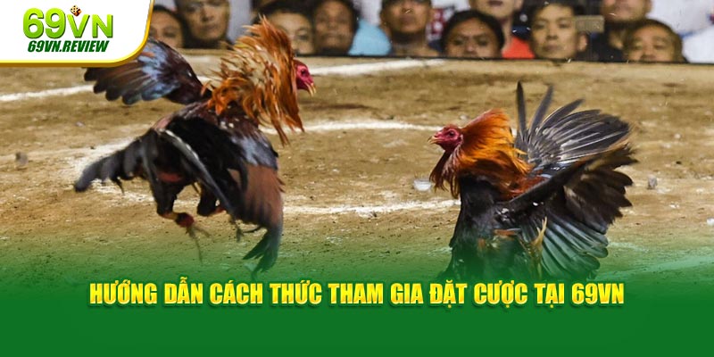 Hướng dẫn cách thức tham gia đặt cược tại 69VN