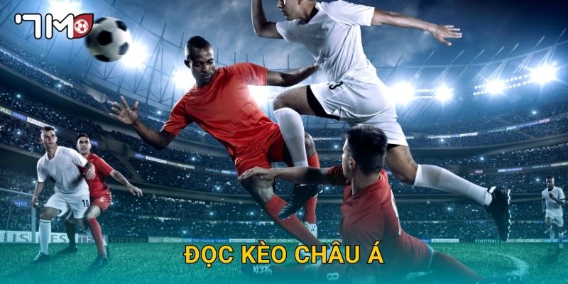 đọc kèo châu Á 7m và bí quyết dành cho người mới 1 đọc kèo châu Á 7m và bí quyết dành cho người mới