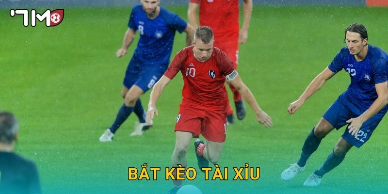 bắt kèo tài xỉu 7m và kinh nghiệm thực chiến hữu ích 1 bắt kèo tài xỉu 7m và kinh nghiệm thực chiến hữu ích