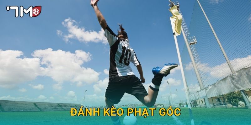 đánh kèo phạt góc 7m và chiến thuật chơi an toàn 1 đánh kèo phạt góc 7m và chiến thuật chơi an toàn