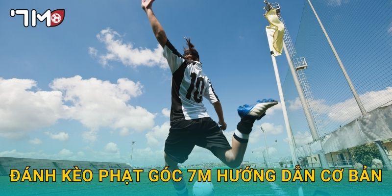 đánh kèo phạt góc 7m và chiến thuật chơi an toàn 2 Đánh kèo phạt góc 7m hướng dẫn cơ bản